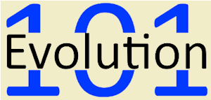 Logo de www.evolution-101.com