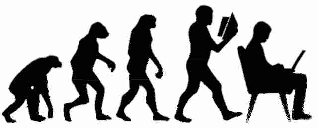 Les différents stades d'évolution de l'homme du singe à l'homme moderne.