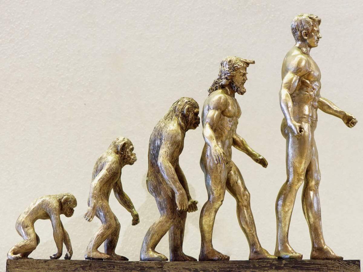 Schémas fantaisiste de l'évolution humaine du singe ancien à l’homme.