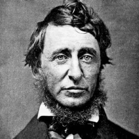  Portrait noir et blanc d’Henry David Thoreau 