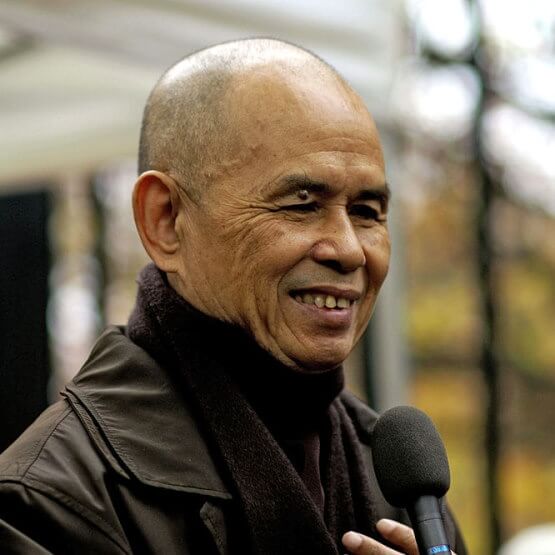 50 Citations De Thich Nhat Hanh Les Courtes En Premier