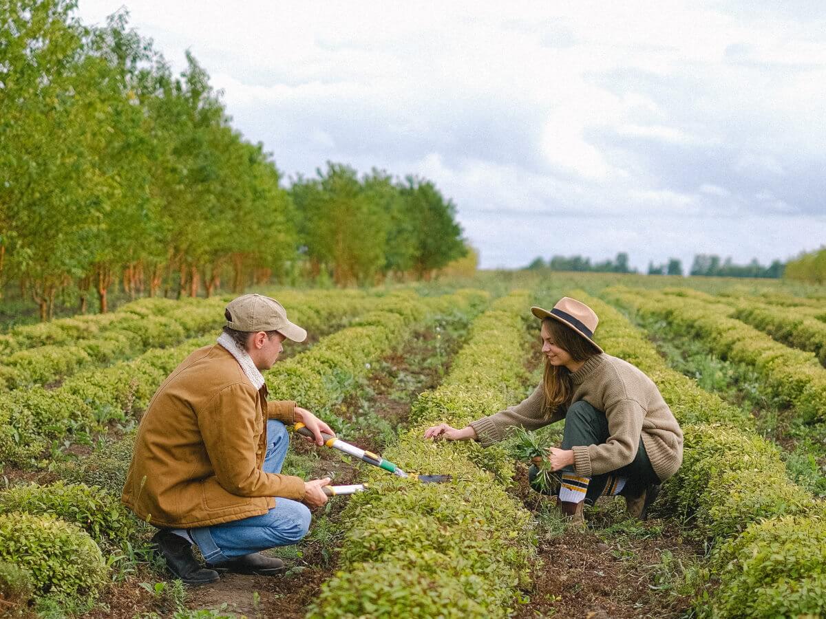 Des agriculteurs au travail dans un champ