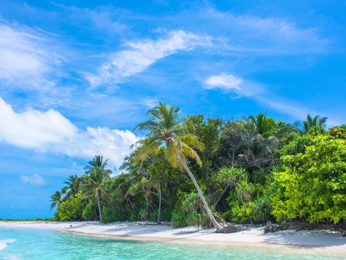 Une plage dans les tropiques sans aucun signe de civilisation.