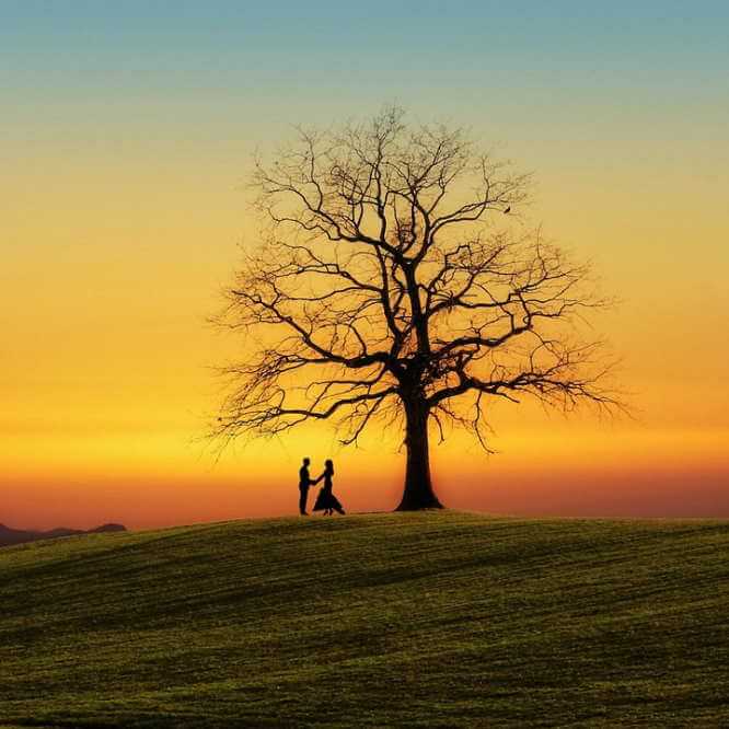  Un couple au loin près d’un arbre devant un coucher de soleil 