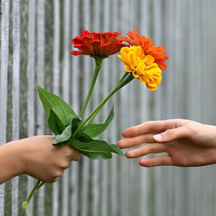 Une main donne un bouquet à une autre main.