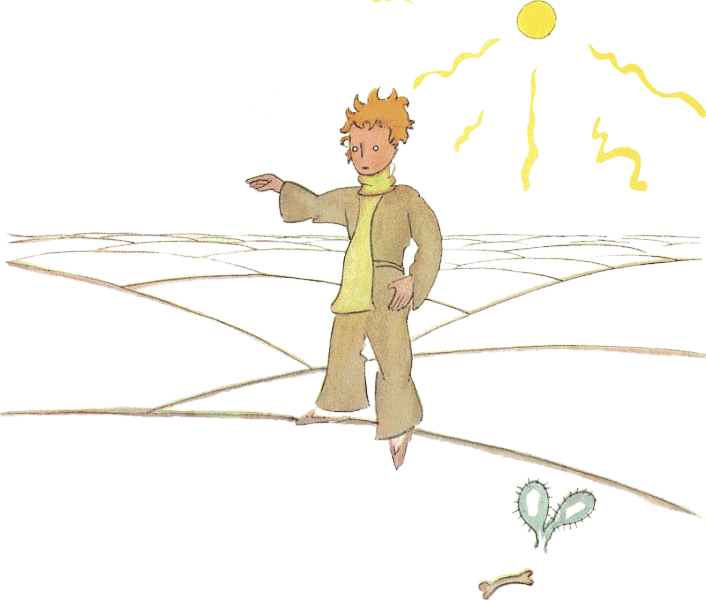 Le Petit Prince sur un champ sous le soleil