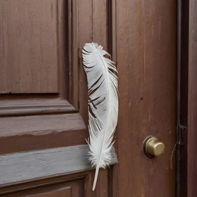 Une longue plume blanche collée sur une porte