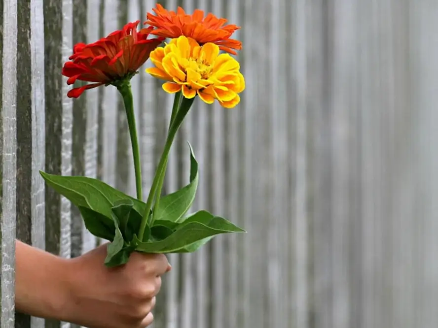 main qui tend un bouquet de fleurs.